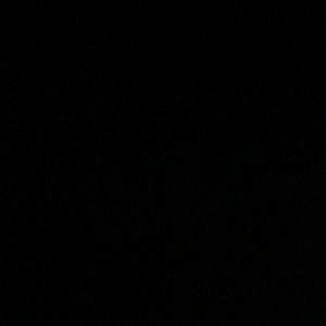 Meet your Posher, Peyton